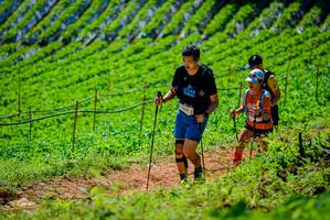 BIB: 
                            <button type="button" onclick="openModal(19163757)" class="btn btn-primary btn-sm float-right btn-popup" data-toggle="modal" data-target=".modal-high-quality">
                        <i class="fas fa-shopping-cart"></i> Add to Cart
                    </button>
                                            <button type="button" onclick="isThisMe(19163757, true)" class="btn btn-success btn-sm float-right btn-popup btn-isme hidden" data-toggle="tooltip" data-placement="bottom" title="นี่คือรูปของคุณใช่ไหม คลิกที่นี่เพื่อเอาเข้าอัลบั้ม">
                        <i class="fas fa-plus"></i> Add to album
                    </button>
                    <button type="button" onclick="isThisMe(19163757, false)" class="btn btn-warning btn-sm float-right btn-popup btn-isnotme hidden">
                        <i class="fas fa-ban"></i> Remove from album
                    </button>